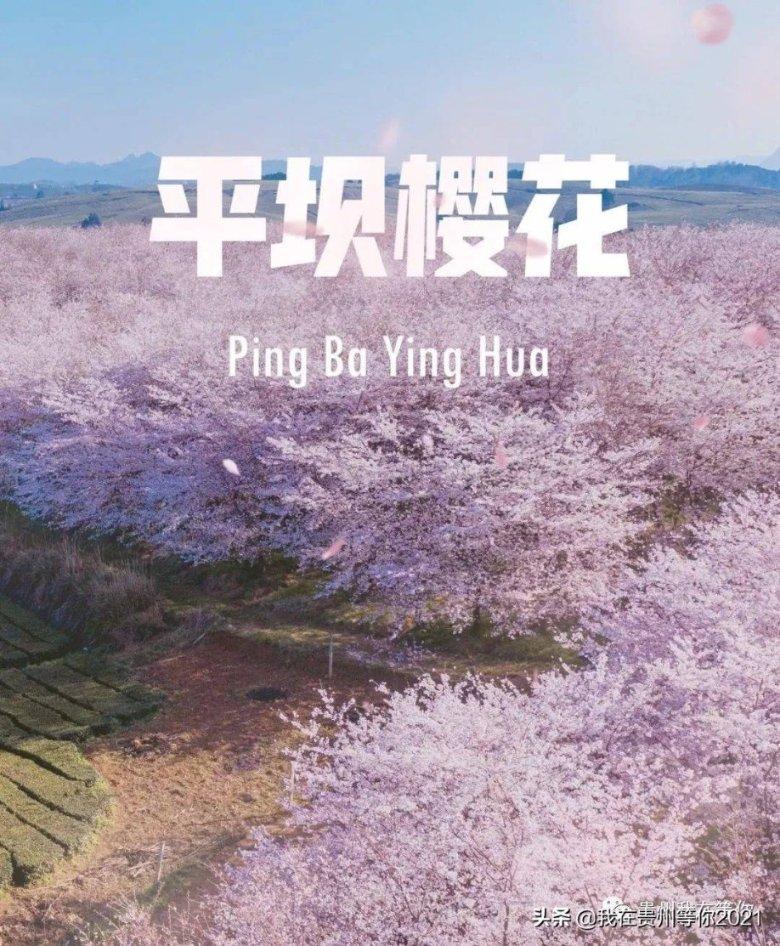 68岁周润发半马创个人最佳成绩 明星加持让赛事“破圈”